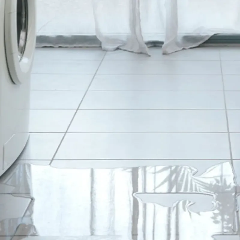 Appliance Leak Cleanup in Vega, TX