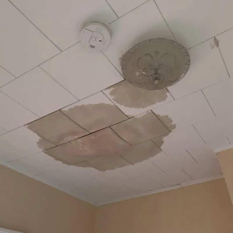 Ceiling Water Damage Repair in Vega, TX
