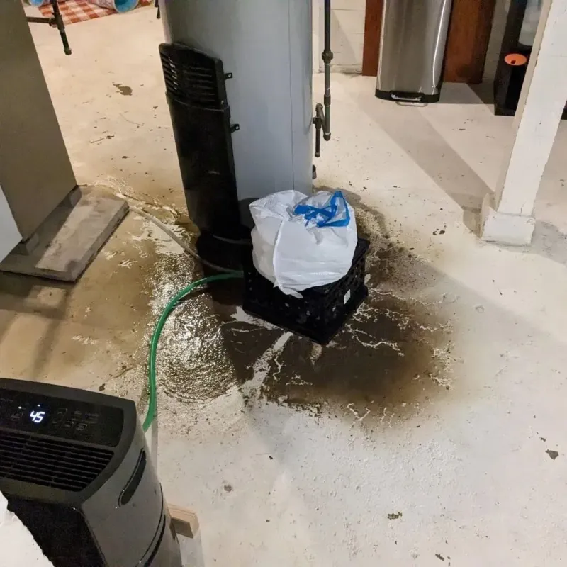 Sewage Backup Cleanup Service in Vega, TX